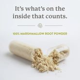 Nature's Sunshine Marshmallow 100 Capsules